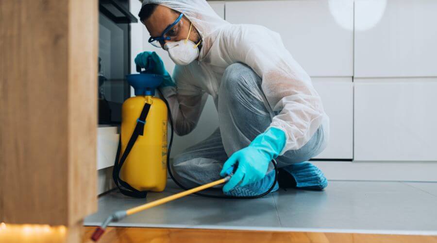 Professional pest control services in The Dalles